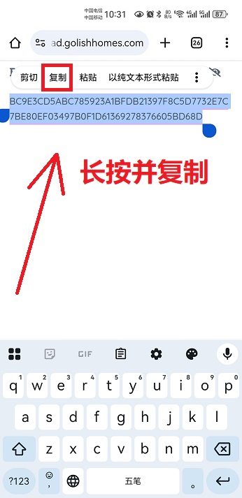 Screenshot_20250421_103141_com.android.chrome 推荐一款加密通讯软件atox安卓版及安装使用教程